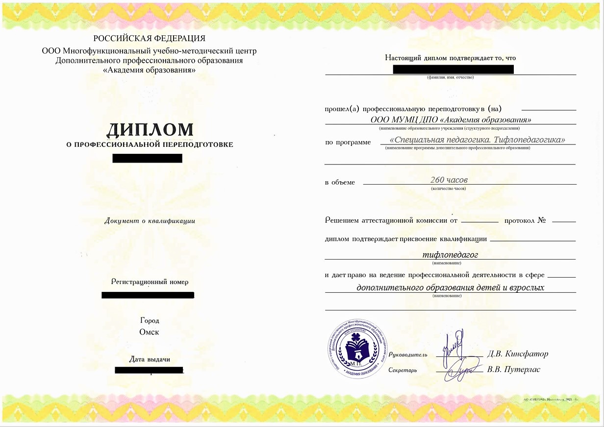 ПП Специальная педагогика. Тифлопедагогика, 260